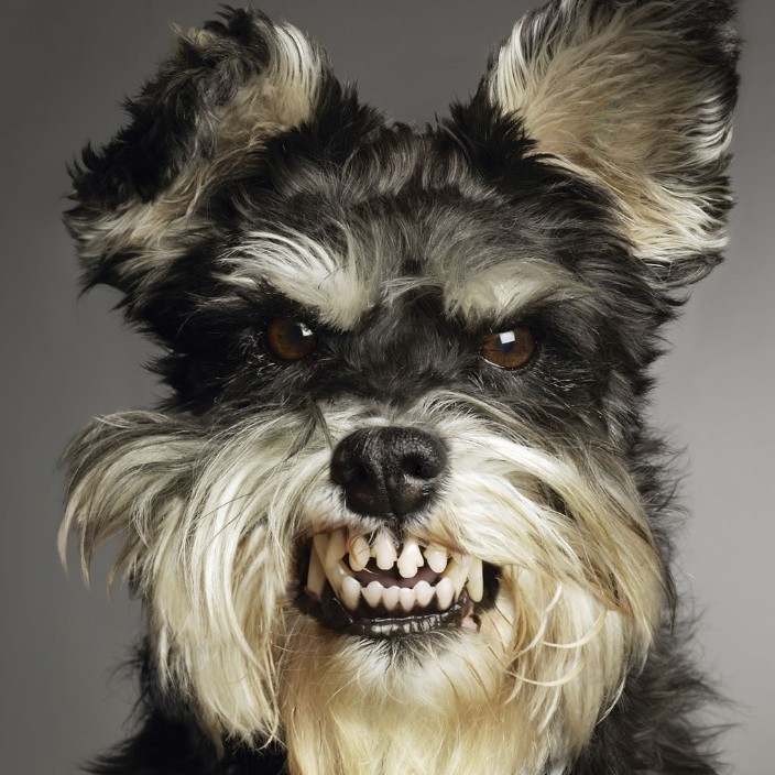 metalmebly.eth Ethereum Name Service (ENS and .eth domain) PFP