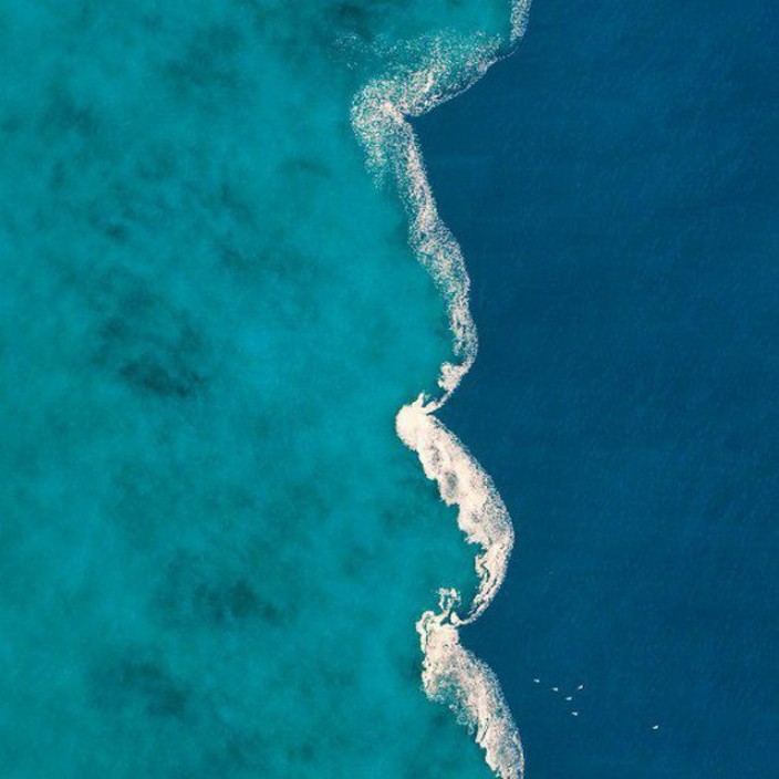 mimist.eth Ethereum Name Service (ENS and .eth domain) PFP