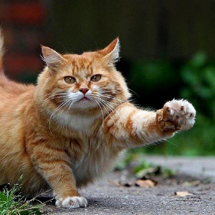 mindr.eth Ethereum Name Service (ENS and .eth domain) PFP