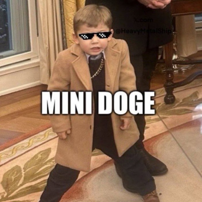 Mini Doge CTO (minidogecto.eth) Ethereum Name Service (ENS and .eth domain) PFP