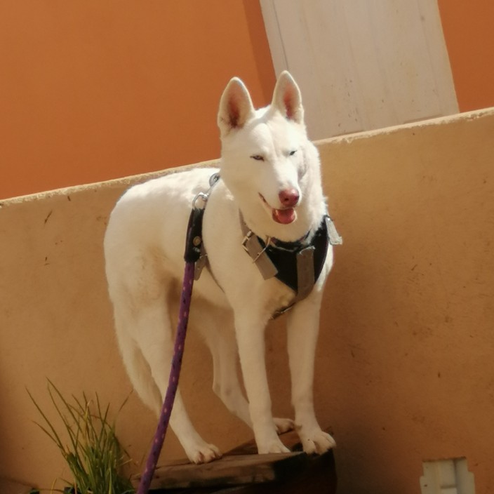 mithlast.eth Ethereum Name Service (ENS and .eth domain) PFP