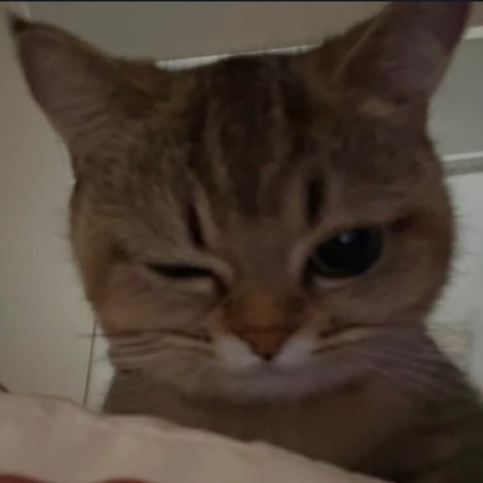 bymlna2k.base.eth Basenames (.base.eth domains) based on ENS PFP