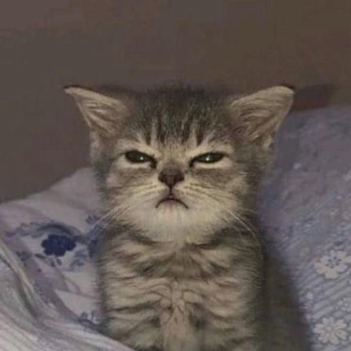 mmozg.eth Ethereum Name Service (ENS and .eth domain) PFP