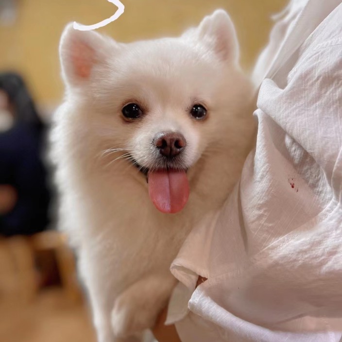 mojitutu.eth Ethereum Name Service (ENS and .eth domain) PFP