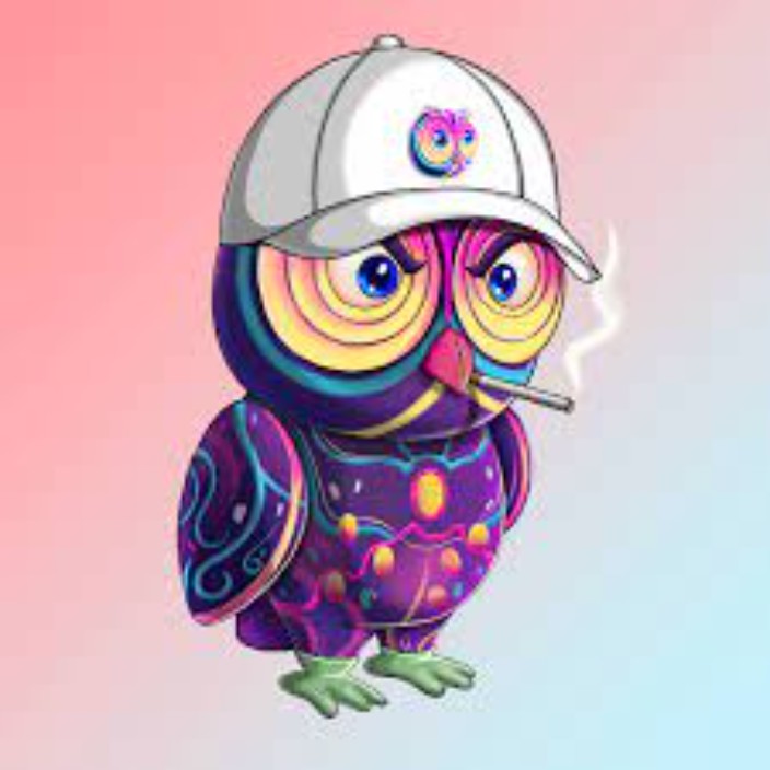 mokasyn.eth Ethereum Name Service (ENS and .eth domain) PFP