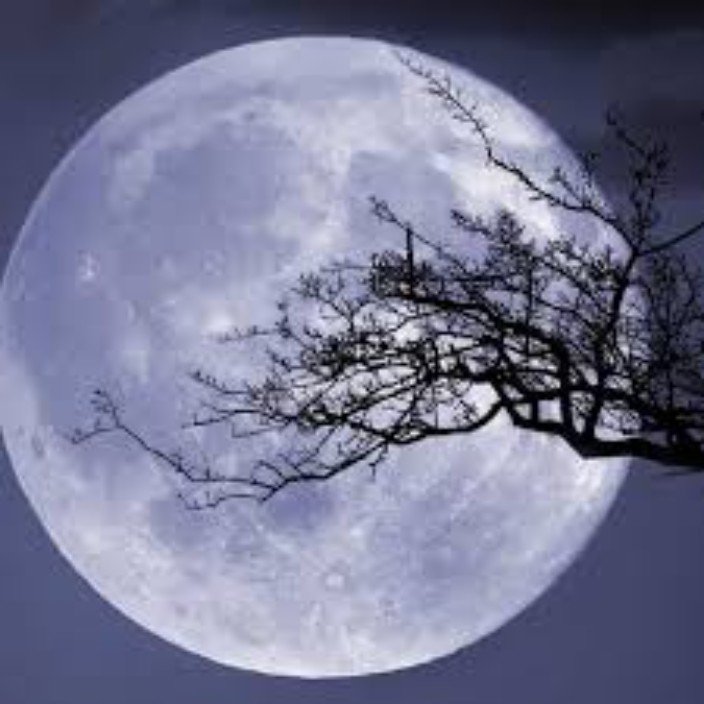 momo4321.eth Ethereum Name Service (ENS and .eth domain) PFP