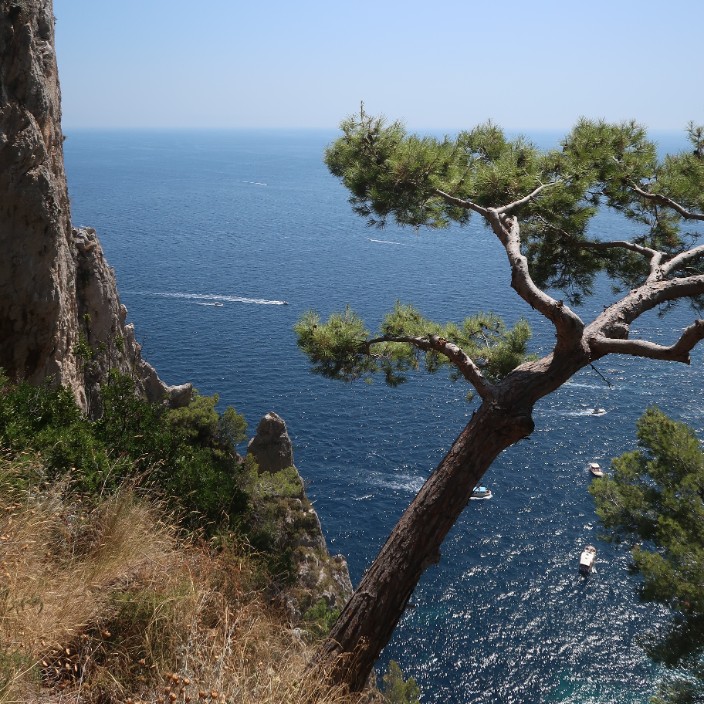 moritzburger.eth Ethereum Name Service (ENS and .eth domain) PFP