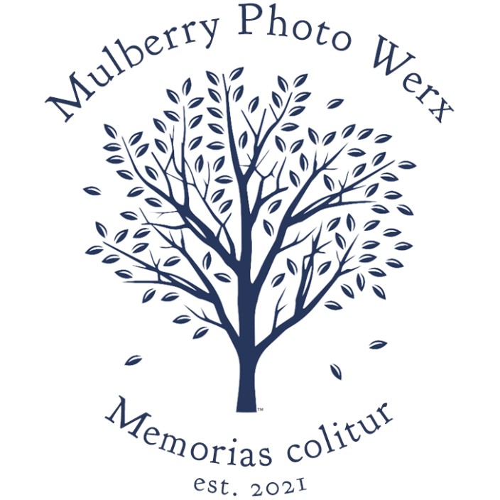 mulberryphotowerx.eth Ethereum Name Service (ENS and .eth domain) PFP