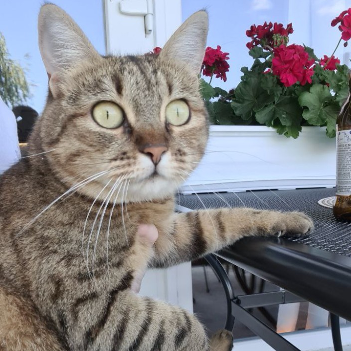 murkiza.eth Ethereum Name Service (ENS and .eth domain) PFP