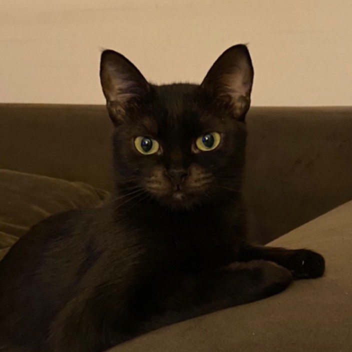 murto.eth Ethereum Name Service (ENS and .eth domain) PFP