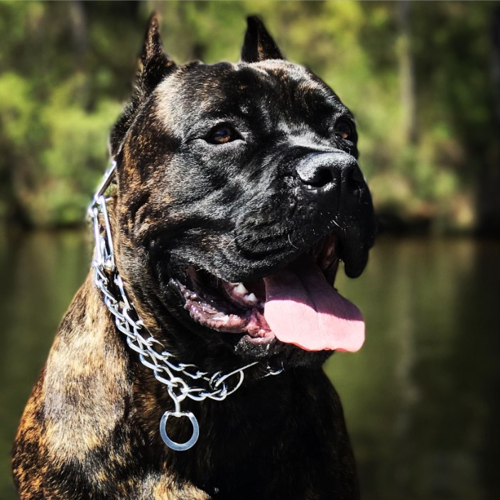 murtoe78.eth Ethereum Name Service (ENS and .eth domain) PFP