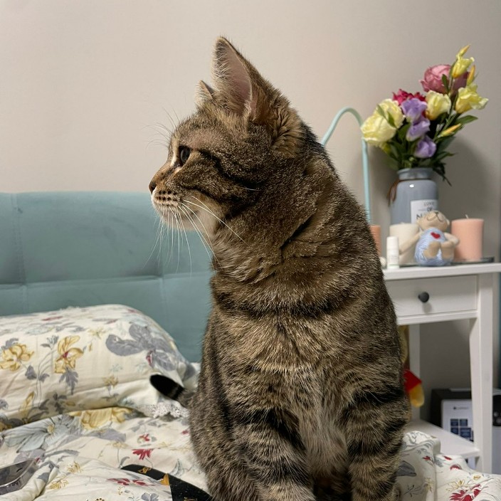 musek.eth Ethereum Name Service (ENS and .eth domain) PFP