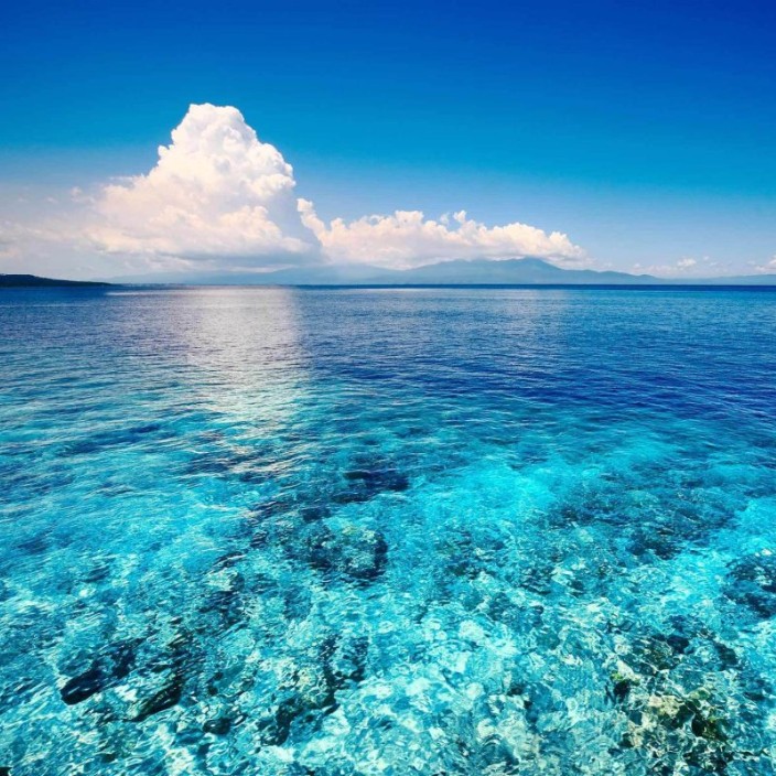 myluckydomain.eth Ethereum Name Service (ENS and .eth domain) PFP