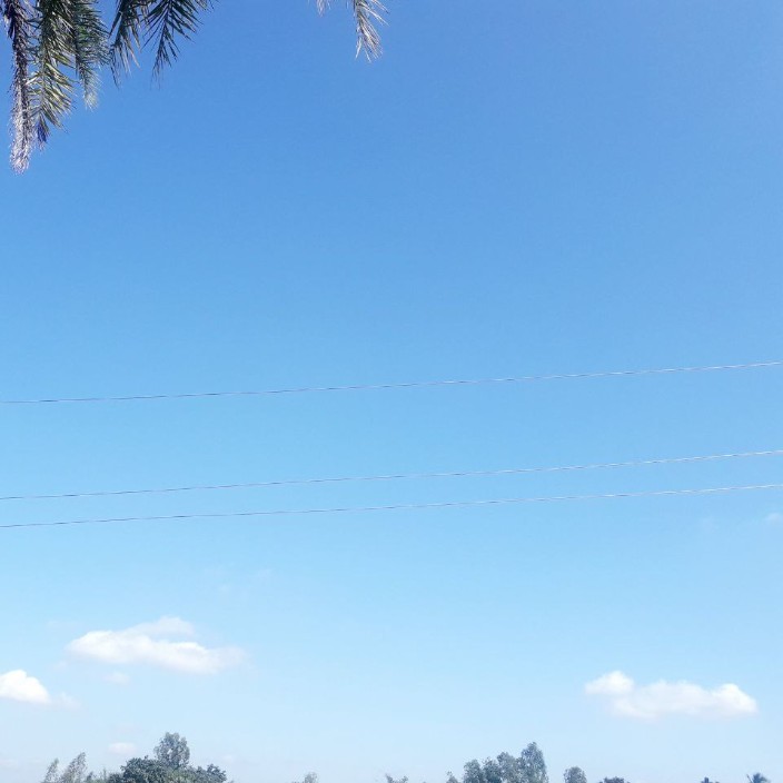 myname11.eth Ethereum Name Service (ENS and .eth domain) PFP