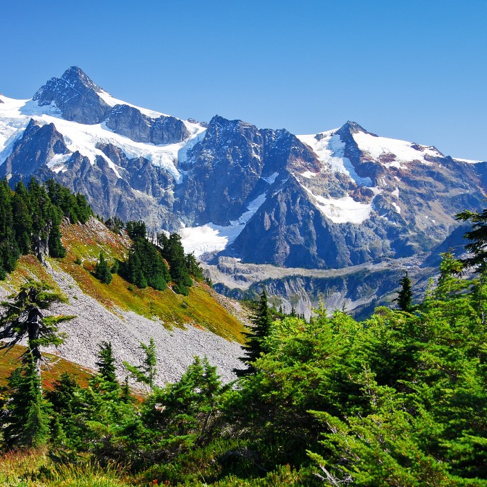 myosnovcat1983.eth Ethereum Name Service (ENS and .eth domain) PFP