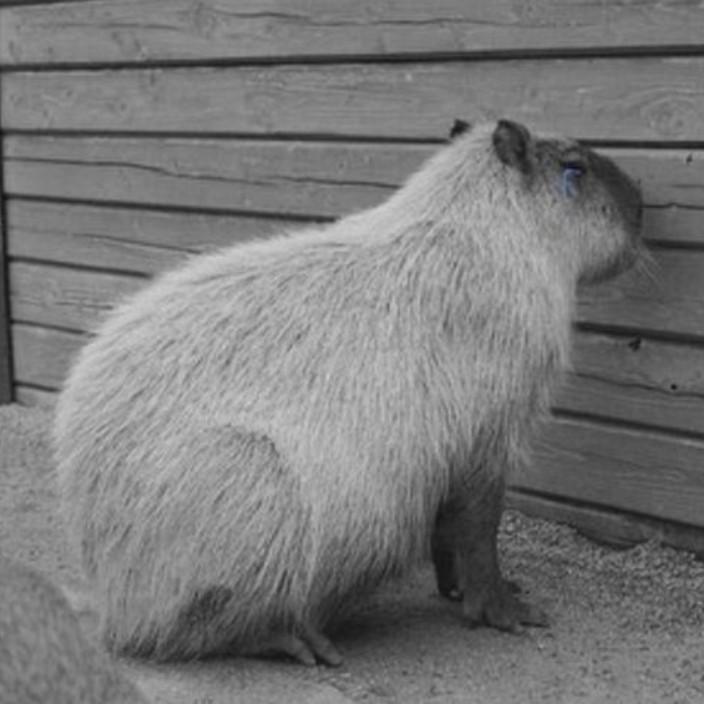 negativeincome.eth Ethereum Name Service (ENS and .eth domain) PFP