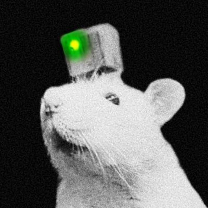 neiry.eth Ethereum Name Service (ENS and .eth domain) PFP