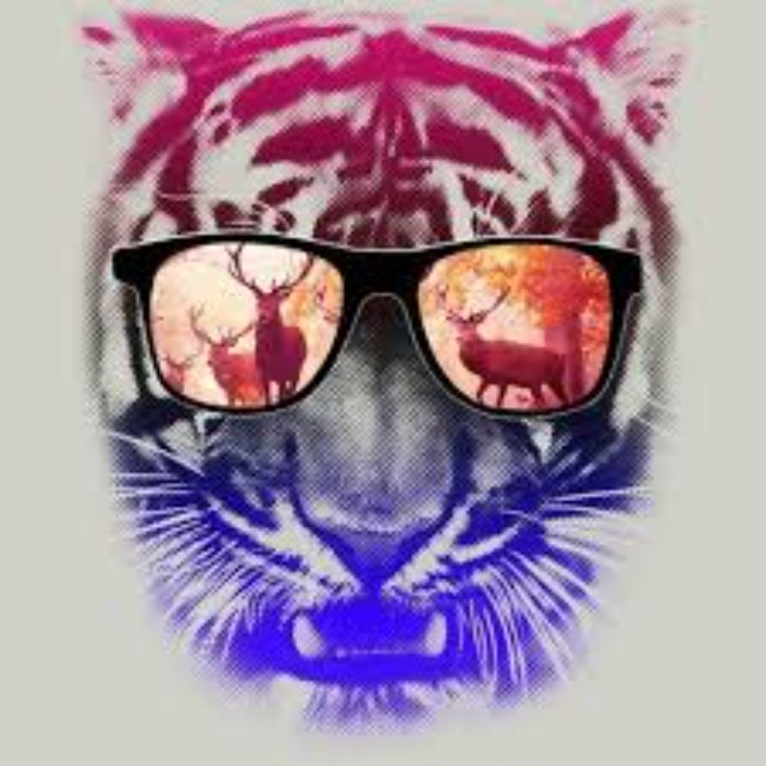 nelkis53.eth Ethereum Name Service (ENS and .eth domain) PFP