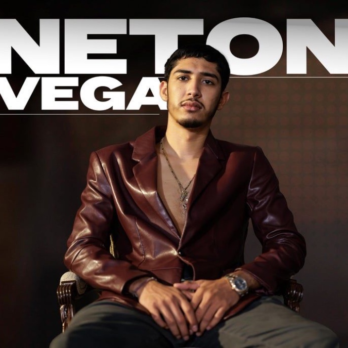 netonvega.eth Ethereum Name Service (ENS and .eth domain) PFP