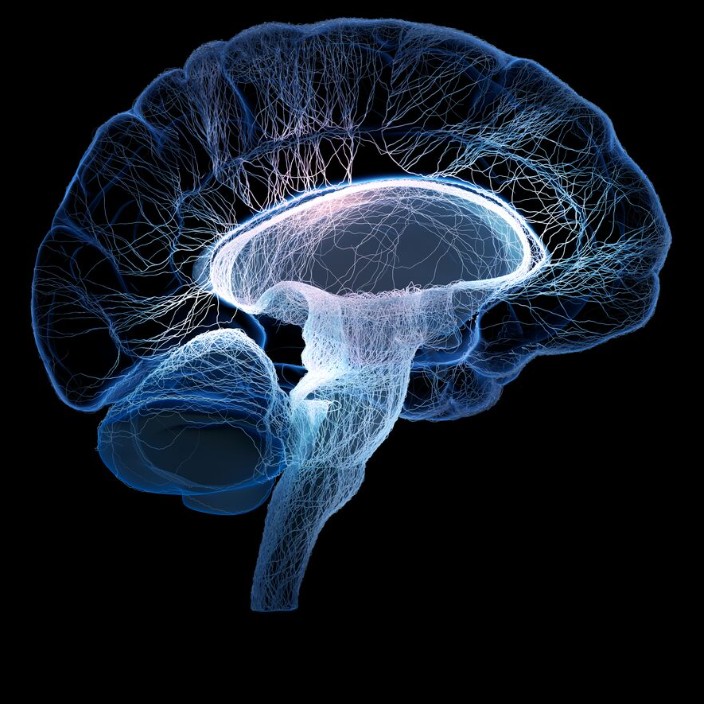 neurobiology.eth Ethereum Name Service (ENS and .eth domain) PFP