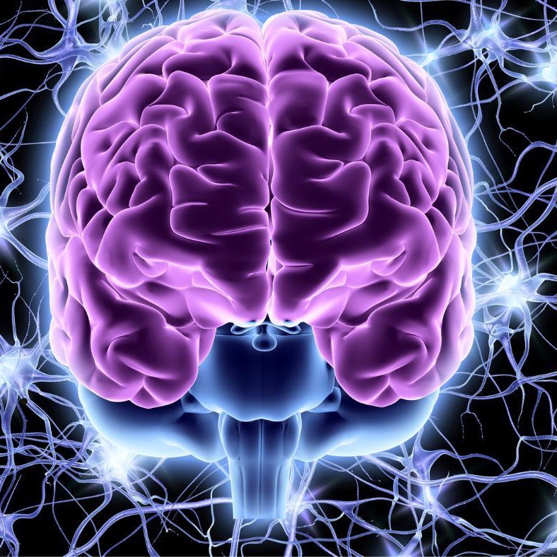 neurobrain.eth Ethereum Name Service (ENS and .eth domain) PFP