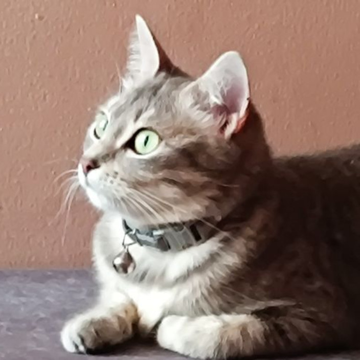 neurohype.eth Ethereum Name Service (ENS and .eth domain) PFP