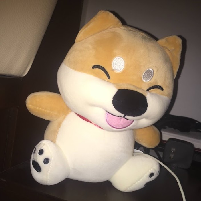 nevereveragain.eth Ethereum Name Service (ENS and .eth domain) PFP