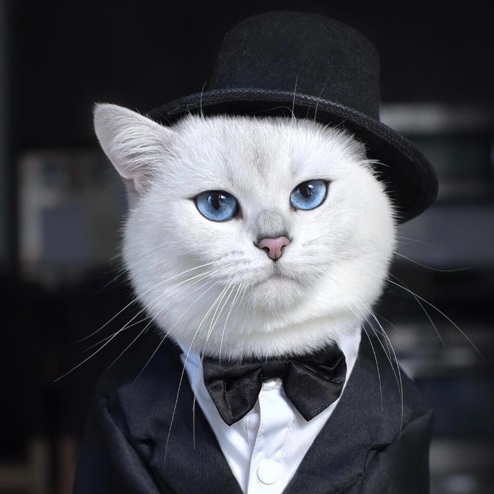 nickymouse.eth Ethereum Name Service (ENS and .eth domain) PFP