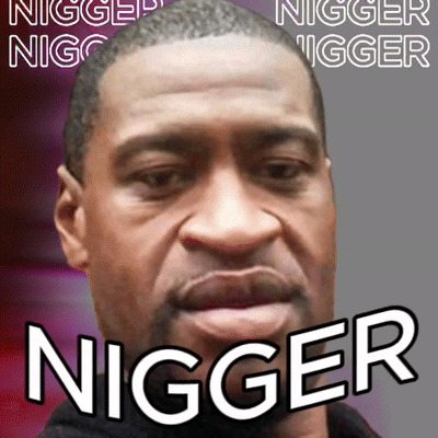 nigger.evilempire.eth Ethereum Name Service (ENS and .eth domain) PFP