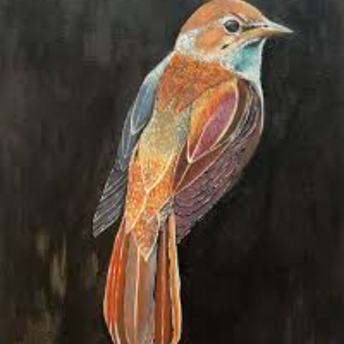 nightingalecapital.eth Ethereum Name Service (ENS and .eth domain) PFP