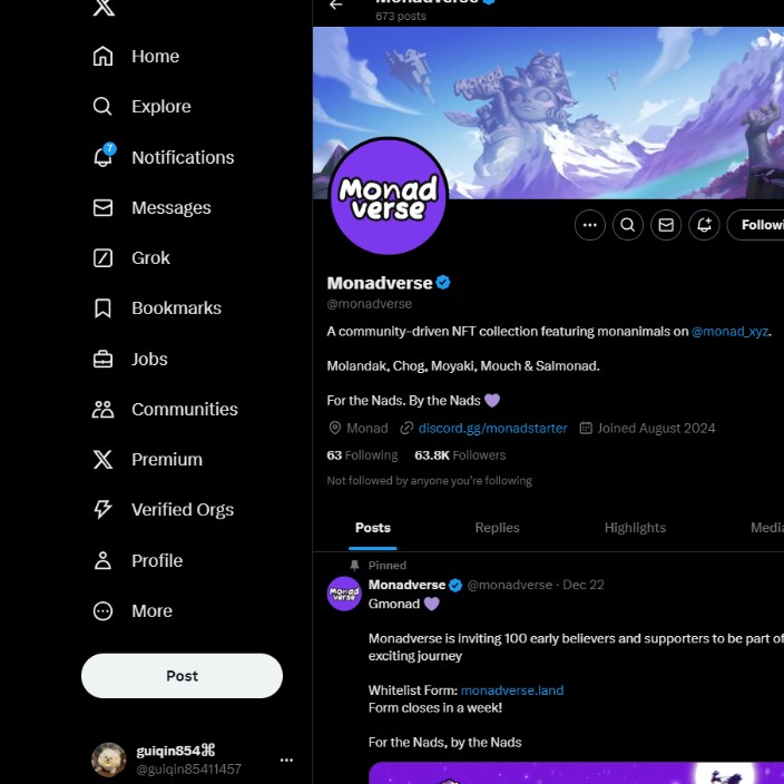 nihaiaiwo.eth Ethereum Name Service (ENS and .eth domain) PFP