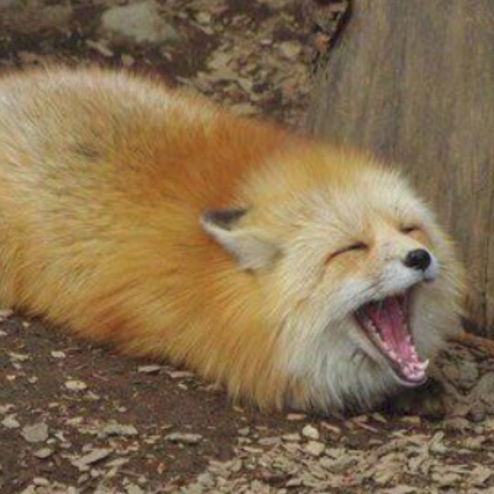 nooma42.lens Lens social identity (.lens handle) PFP