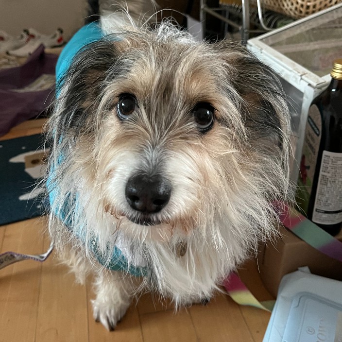 noongoona.eth Ethereum Name Service (ENS and .eth domain) PFP