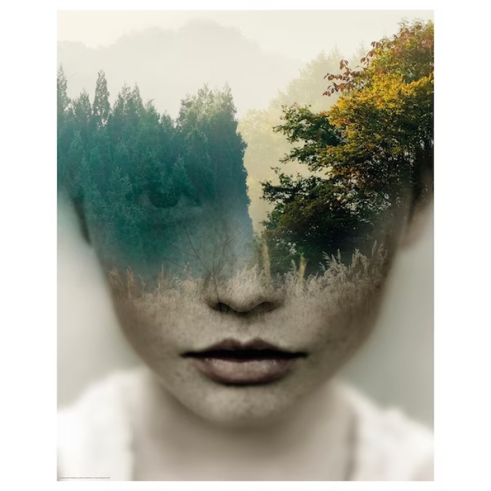 sobakadika.lens Lens social identity (.lens handle) PFP