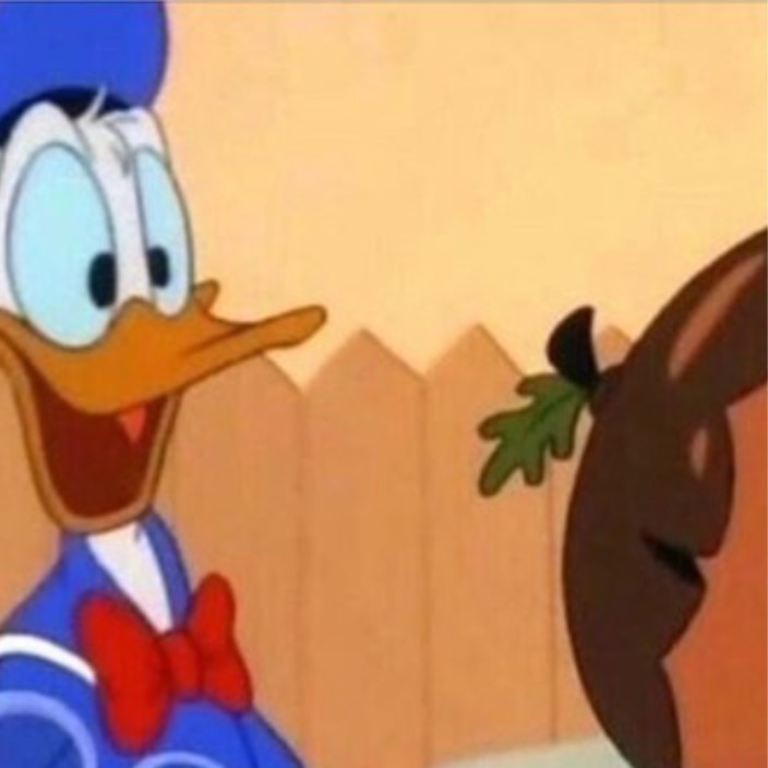 nutduck.eth Ethereum Name Service (ENS and .eth domain) PFP