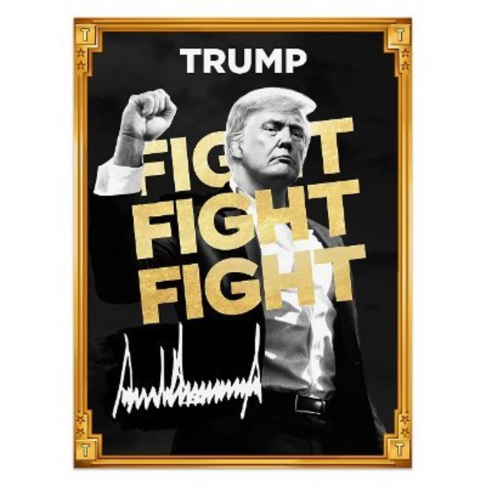 officialtrumpdev.eth Ethereum Name Service (ENS and .eth domain) PFP