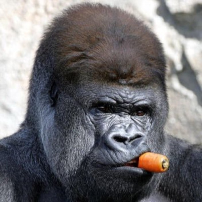 ogboss13.eth Ethereum Name Service (ENS and .eth domain) PFP