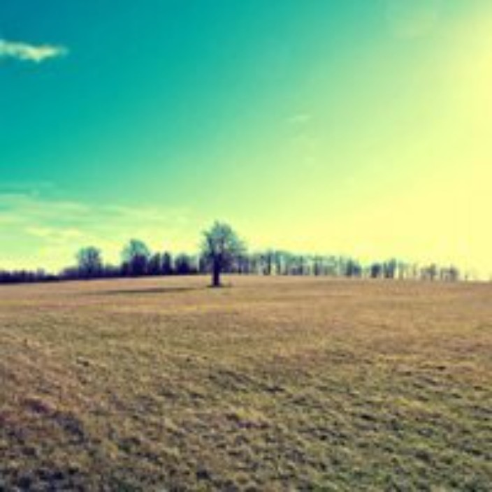 oiutjhrohj.eth Ethereum Name Service (ENS and .eth domain) PFP