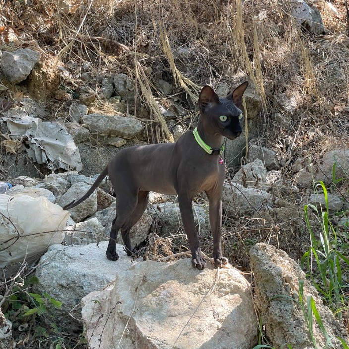 okcswap.eth Ethereum Name Service (ENS and .eth domain) PFP