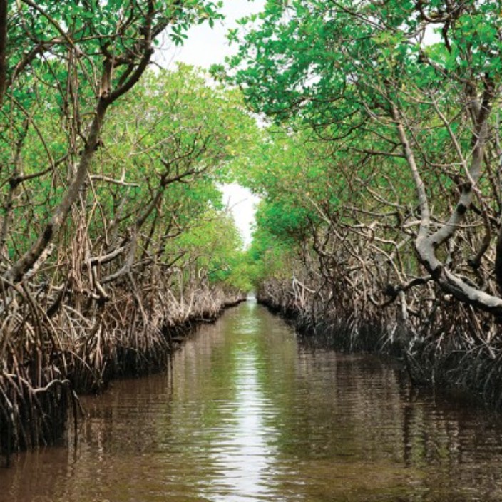 oliviabeshab.eth Ethereum Name Service (ENS and .eth domain) PFP