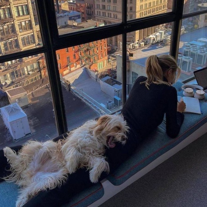 onceinamoon.eth Ethereum Name Service (ENS and .eth domain) PFP