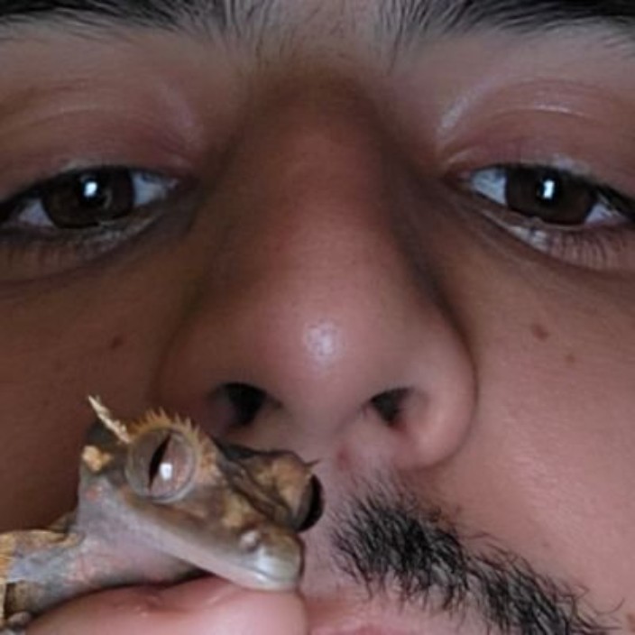 ouzii.eth Ethereum Name Service (ENS and .eth domain) PFP