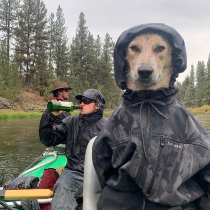 owik1213.eth Ethereum Name Service (ENS and .eth domain) PFP