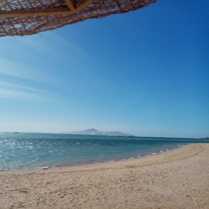 pankratovtrofim.eth Ethereum Name Service (ENS and .eth domain) PFP