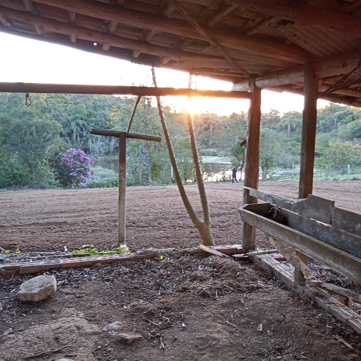 paycelo.eth Ethereum Name Service (ENS and .eth domain) PFP