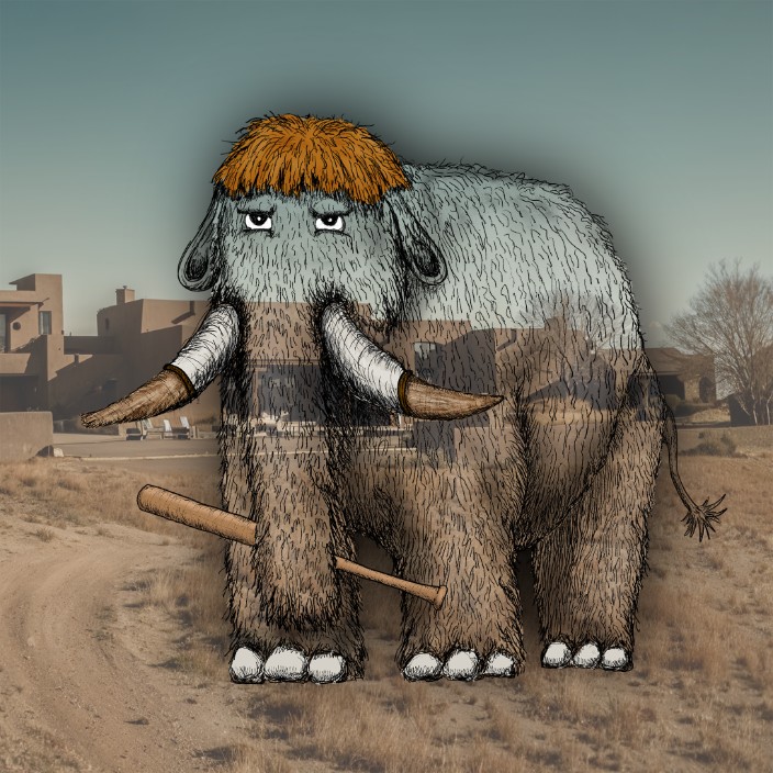 Bibo (peipe.eth) Ethereum Name Service (ENS and .eth domain) PFP