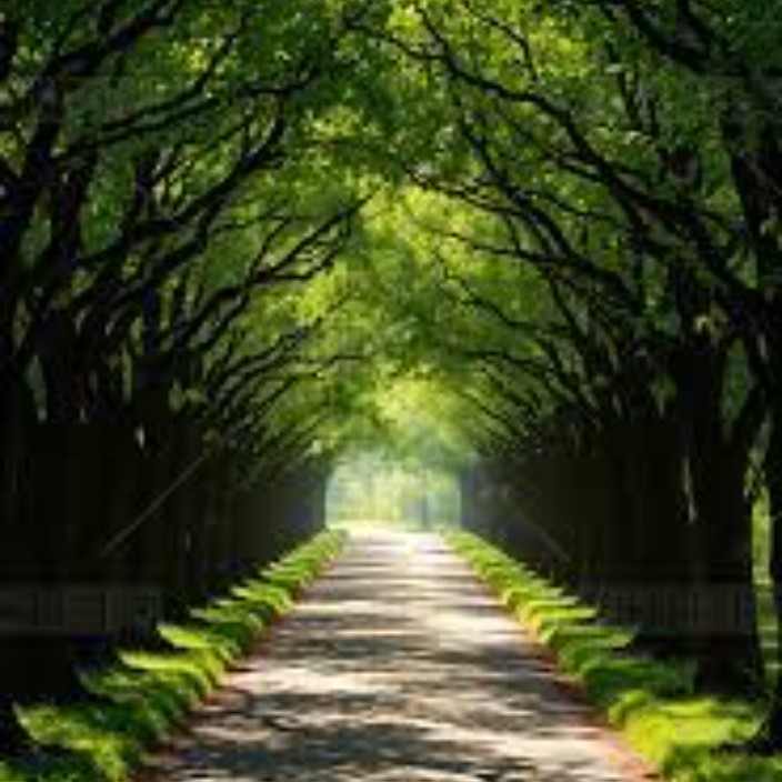 pengliangnijiushidashigou.eth Ethereum Name Service (ENS and .eth domain) PFP