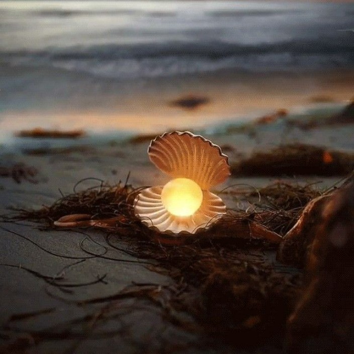 perlins.eth Ethereum Name Service (ENS and .eth domain) PFP