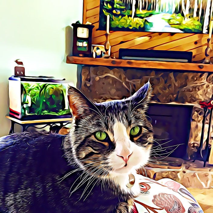 petweb.eth Ethereum Name Service (ENS and .eth domain) PFP