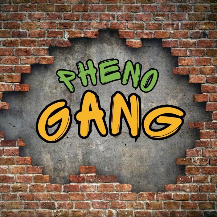 phenogang.eth Ethereum Name Service (ENS and .eth domain) PFP